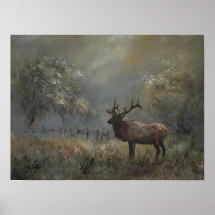 Elk Meadow Poster