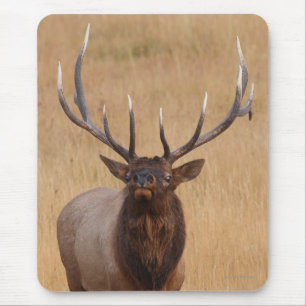 elk mouse mat