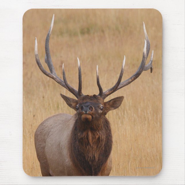 elk mouse mat (Front)