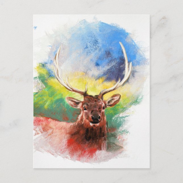 Elk Postcard (Front)