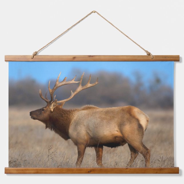 Elk Profile in Autumn Hanging Tapestry (Front)