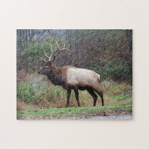 Elk Puzzle