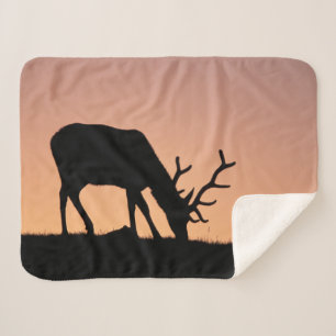 Elk   Rocky Mountains National Park, Colorado Sherpa Blanket