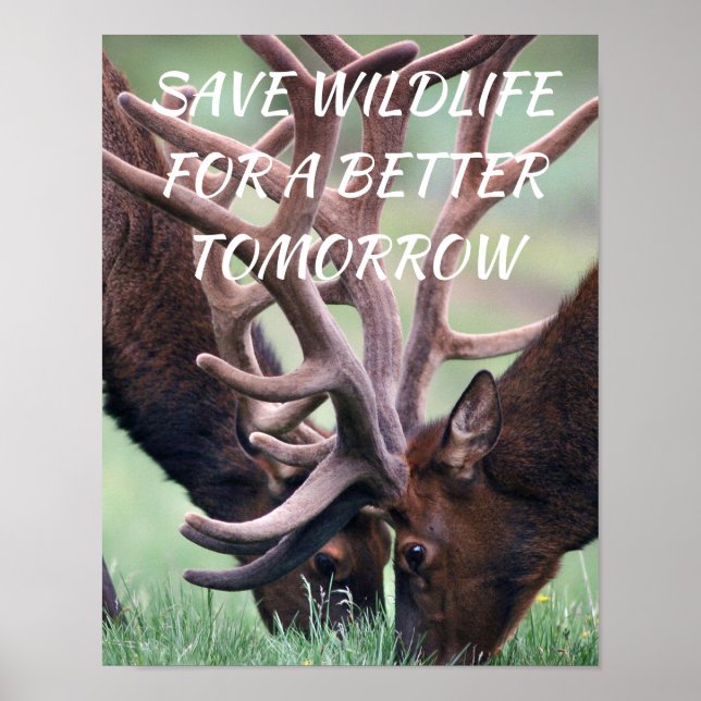 Elk, Save Wildlife for a Better Tomorrow Nature Poster (Front)