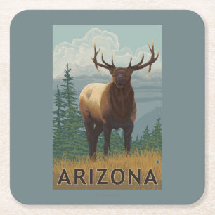 Elk SceneArizona Square Paper Coaster