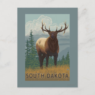 Elk SceneSouth Dakota Postcard