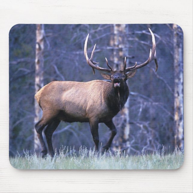 Elk Scream Mouse Mat (Front)