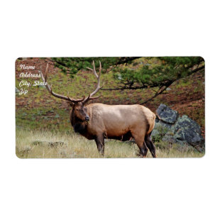 Elk Shipping Label