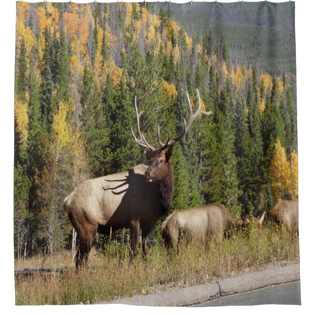 Elk Shower Curtian Curtain (Front)