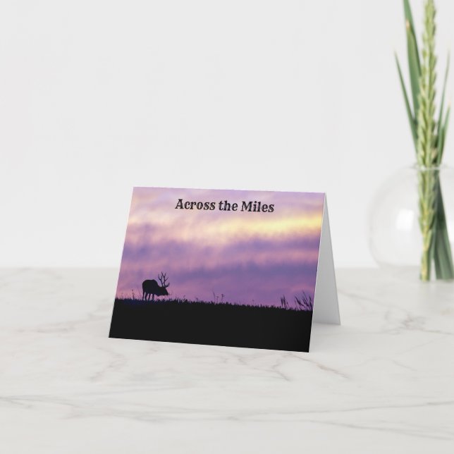 Elk Silhouette at Sunset Greeting Card (Front)