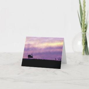 Elk Silhouette at Sunset Greeting Card Blank