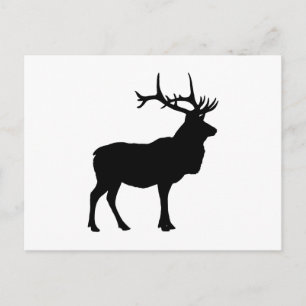 Elk Silhouette Postcard