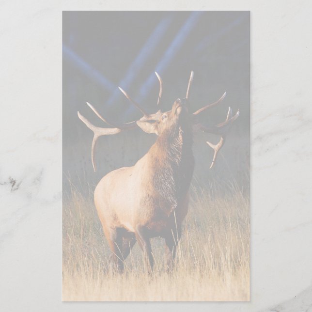 elk stationery (Front)