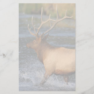elk stationery