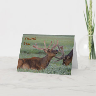 elk Thank You Note
