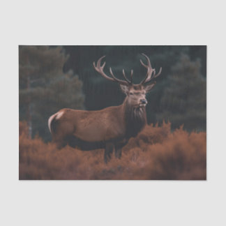 Elk Tissue Paper