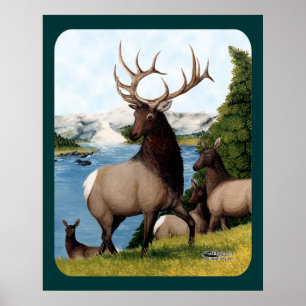 Elk Wapiti Poster