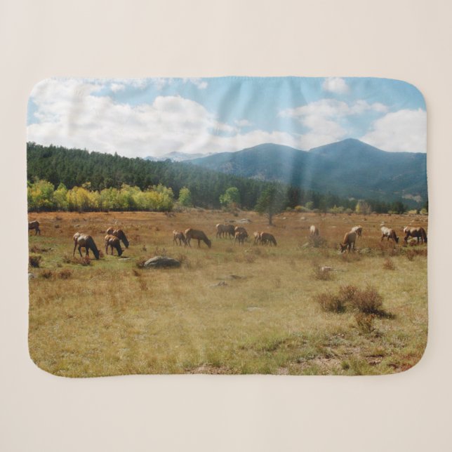 Elk wide angle sherpa blanket (Front (Horizontal))