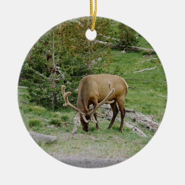 Elk With Velvet Antlers Ceramic Tree Decoration (Front)