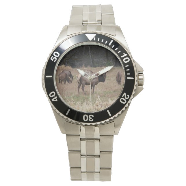 Elk Wrist Watch (Front)
