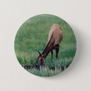 Elk- Yellowstone 6 Cm Round Badge