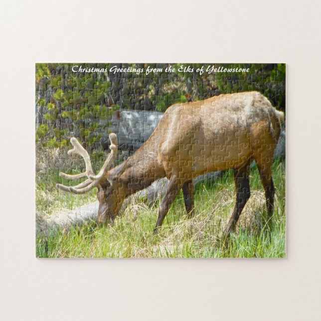 Elk Yellowstone Montana. Christmas Greetings Jigsaw Puzzle (Horizontal)
