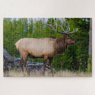 Elk Yellowstone National Park, Wyoming Jigsaw Puzzle