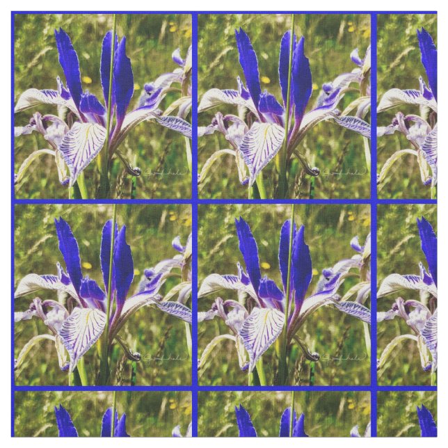 Elkhorn Mountain Iris Fabric (Swatch)