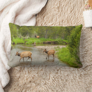 Elks Crossing the Colorado River Lumbar Cushion