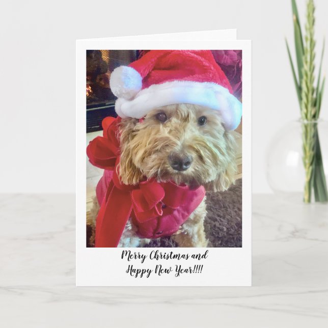 Ella Bella Banana Santa Thank You Card (Front)