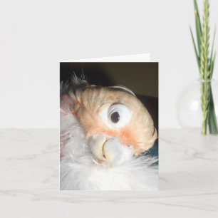 Ella Glamour Card