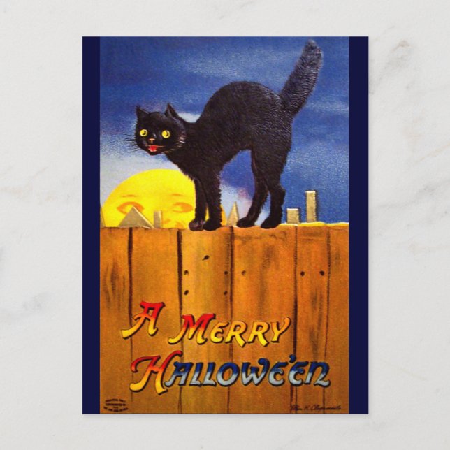 Ellen H. Clapsaddle: Black Cat on a Fence Postcard (Front)
