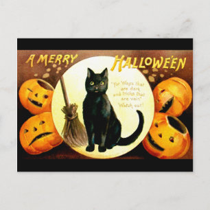 Ellen H. Clapsaddle: Halloween Cat Postcard