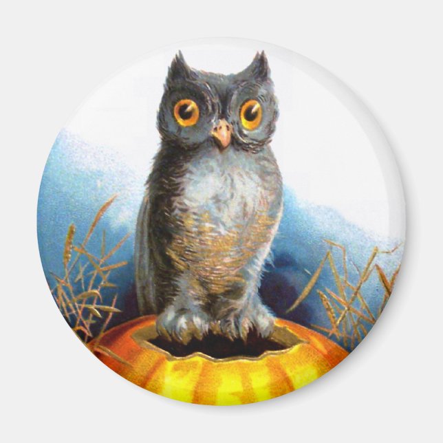 Ellen H. Clapsaddle: Halloween Owl Magnet (Front)