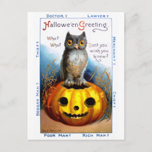 Ellen H. Clapsaddle: Halloween Owl Postcard