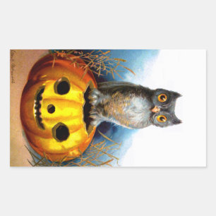 Ellen H. Clapsaddle: Halloween Owl Rectangular Sticker