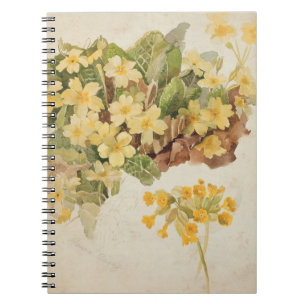 Ellen Terry (1847-1928) as Cordelia, after a photo Notebook