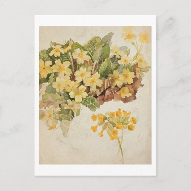 Ellen Terry (1847-1928) as Cordelia, after a photo Postcard (Front)