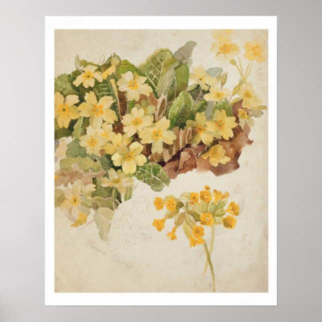 Ellen Terry (1847-1928) as Cordelia, after a photo Poster (Front)