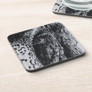 Ellie Elephant Asian Wildlife Jungle Animal Art Coaster