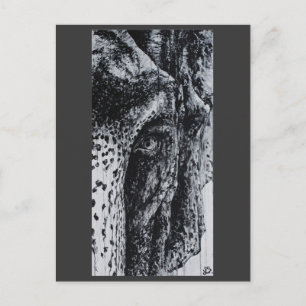 Ellie Elephant Asian Wildlife Jungle Animal Art Postcard