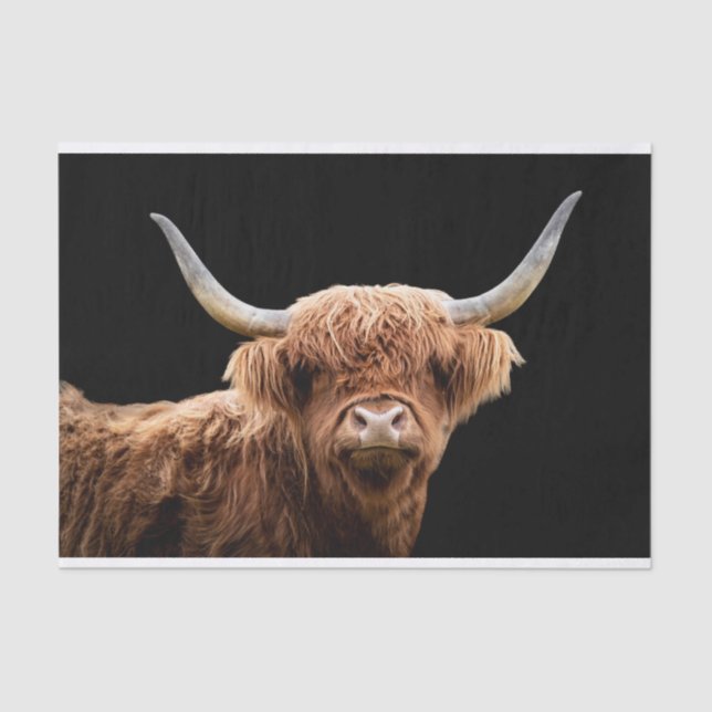 Ellie, the Highland Coo Tissue Paper (Front)