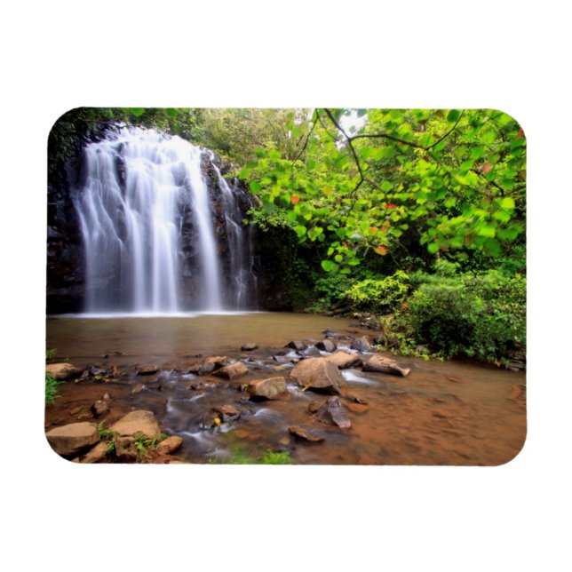 Ellinjaa waterfall, Australia Magnet (Horizontal)