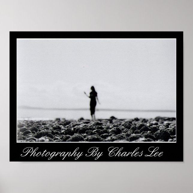 Elliot Bay Marina 1 Poster (Front)