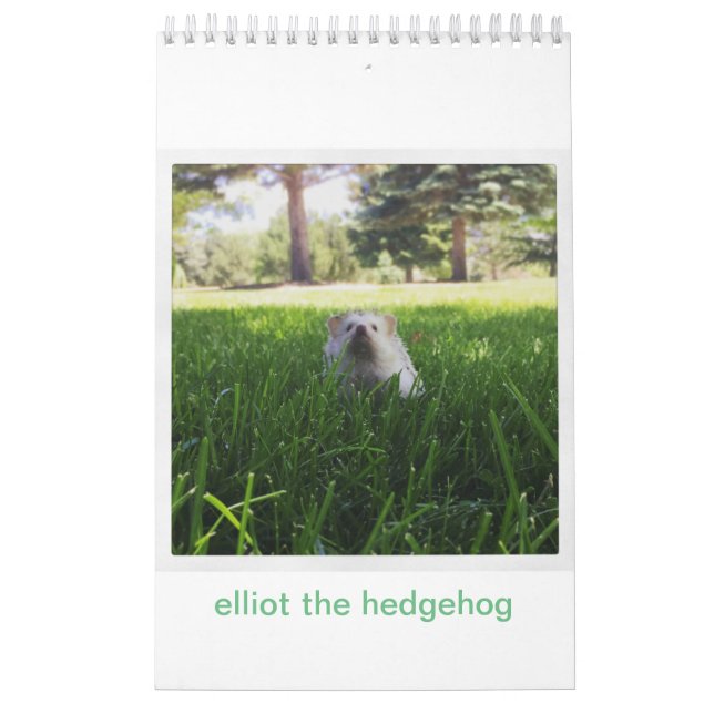 elliot the hedgehog calendar (Cover)