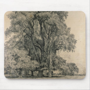 Elm trees in Old Hall Park, East Bergholt, 1817 (p Mouse Mat