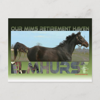 Elmhurst - '97 Breeders' Cup Sprint Winner Postcard
