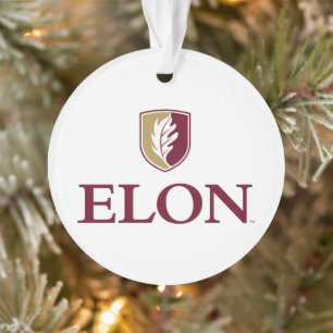 Elon 2 ornament