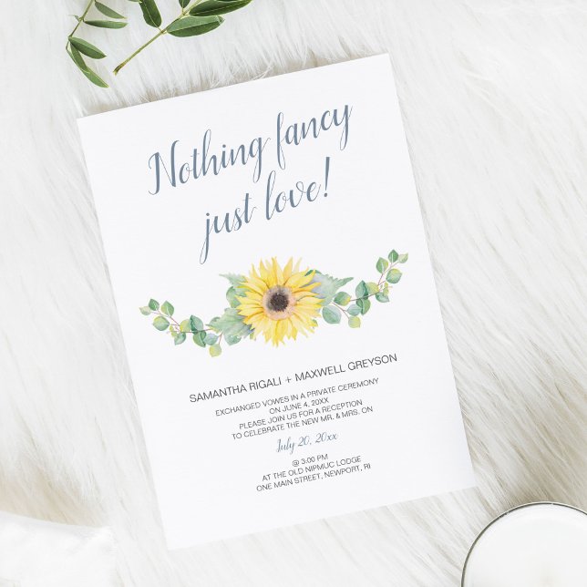 Elopement Reception Nothing Fancy Just Love Invitation (Creator Uploaded)