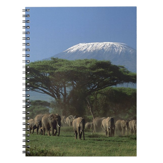 Elphants of Mt.Kilimanjaro Notebook (Front)